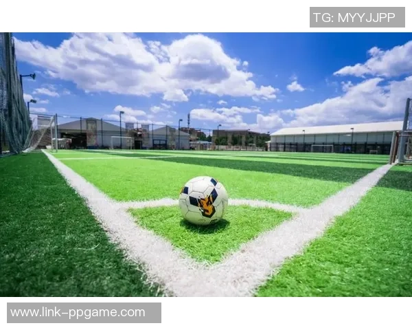 莲花足球馆:打造城市足球文化新高地,激发青少年运动热情与团队精神 莲花足球馆:打造城市足球文化新高地,激发青少年运动热情与团队精神