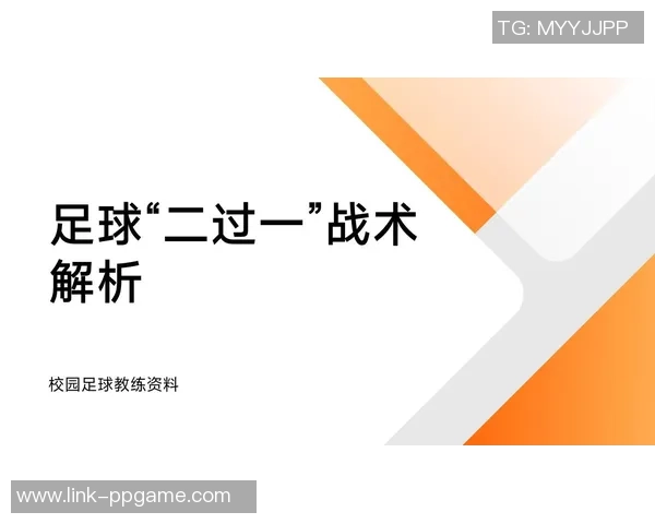 足球入区的战术解析与技巧提升全面指南